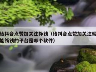 给抖音点赞加关注挣钱（给抖音点赞加关注就能领钱的平台是哪个软件）