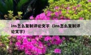 ins怎么复制评论文字（ins怎么复制评论文字）