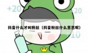 抖音什么才叫粉丝（抖音粉丝什么意思呢）