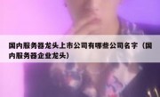 国内服务器龙头上市公司有哪些公司名字（国内服务器企业龙头）