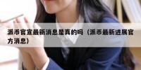 派币官宣最新消息是真的吗（派币最新进展官方消息）