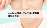 youtube查看（YouTube查看具体粉丝数量）
