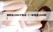涨粉丝1000个粉丝（一块钱涨1000粉）