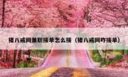 猪八戒网兼职接单怎么接（猪八戒网咋接单）