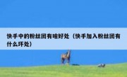 快手中的粉丝团有啥好处（快手加入粉丝团有什么坏处）