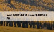 ins不能删除评论吗（ins不能删除评论吗）