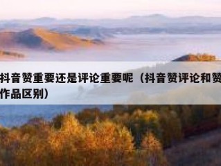 抖音赞重要还是评论重要呢（抖音赞评论和赞作品区别）