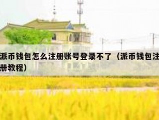 派币钱包怎么注册账号登录不了（派币钱包注册教程）