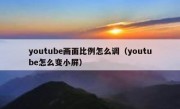 youtube画面比例怎么调（youtube怎么变小屏）