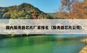 国内服务器芯片厂家排名（服务器芯片公司）