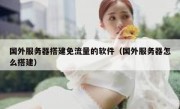 国外服务器搭建免流量的软件（国外服务器怎么搭建）