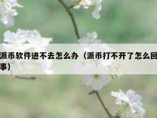 派币软件进不去怎么办（派币打不开了怎么回事）