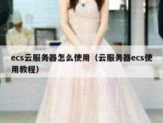 ecs云服务器怎么使用（云服务器ecs使用教程）