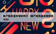 国产服务器有哪些牌子（国产服务器有哪些牌子的）
