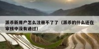 派币新用户怎么注册不了了（派币的什么还在审核中没有通过）