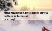推特助力山地车是真的吗还是假的（推特something is technically wrong）