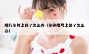 限行车牌上路了怎么办（车辆限号上路了怎么办）