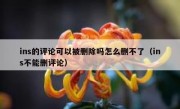 ins的评论可以被删除吗怎么删不了（ins不能删评论）