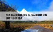 什么是云服务器ECS（ecs云服务器可以挂载什么数据盘）