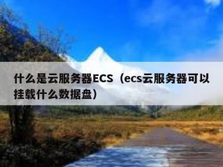 什么是云服务器ECS（ecs云服务器可以挂载什么数据盘）