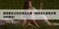 推特看自己的点赞怎么看（推特怎么查看点赞过的推文）