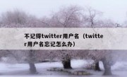 不记得twitter用户名（twitter用户名忘记怎么办）