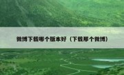 微博下载哪个版本好（下载那个微博）
