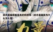 派币是骗局嘛是真的吗视频（派币是骗局为什么没人管）