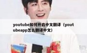 youtube如何开启中文翻译（youtubeapp怎么翻译中文）