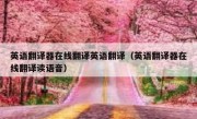英语翻译器在线翻译英语翻译（英语翻译器在线翻译读语音）