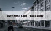 派币钱包是什么软件（派币是骗局嘛）