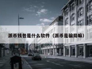 派币钱包是什么软件（派币是骗局嘛）