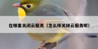 在哪里关闭云服务（怎么样关掉云服务呢）