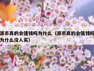 派币真的会值钱吗为什么（派币真的会值钱吗为什么没人买）
