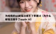 为啥我的qq邮箱注册不了苹果id（为什么邮箱注册不了apple id）