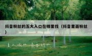 抖音粉丝的五大入口在哪里找（抖音里面粉丝）