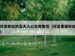 抖音粉丝的五大入口在哪里找（抖音里面粉丝）