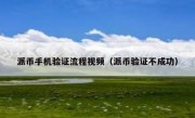 派币手机验证流程视频（派币验证不成功）