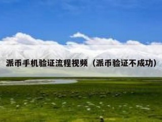 派币手机验证流程视频（派币验证不成功）