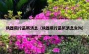 陕西限行最新消息（陕西限行最新消息查询）