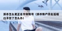 派币怎么更正名字和账号（派币账户改名后端口卡住了怎么办）