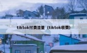 tiktok付费流量（tiktok收费）