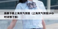 我要下载上海天气预报（上海天气预报24小时详情下载）