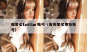 哪里买twitter账号（去哪里买推特账号）