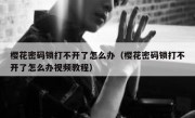 樱花密码锁打不开了怎么办（樱花密码锁打不开了怎么办视频教程）
