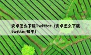 安卓怎么下载Twitter（安卓怎么下载twitter知乎）