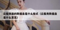 云服务器的数据盘是什么格式（云服务数据盘是什么意思）