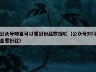 公众号哪里可以看到粉丝数据呢（公众号如何查看粉丝）