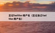 忘记twitter用户名（忘记自己twitter用户名）
