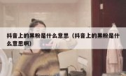 抖音上的黑粉是什么意思（抖音上的黑粉是什么意思啊）